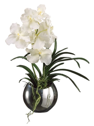 vanda orchid santa barbara design center