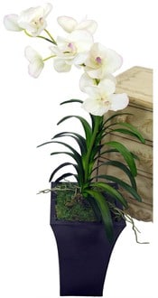 planter-orchid-santa-barbara-design-center-46658