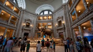 Greatest Museums With Your Host Michael Kourosh
